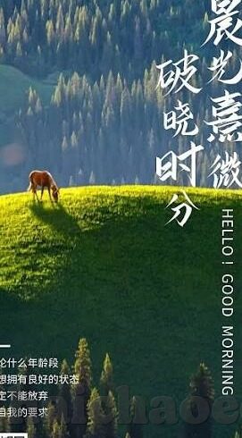 国产精品国产三级国产av麻豆-国产精品影视艺术，文化自信的生动体现与审美升级的独特路径