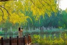 人妻交换日记-探寻人妻交换日记，现代婚姻中的情感探索与自我成长