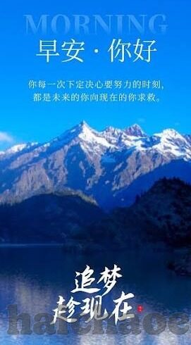 糖心app黄-糖心app的误解与澄清，对网络舆论的理性分析